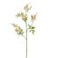 SPIKE BLOSSOM 105CM CREAM