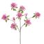 RHODODENDRON 100CM LAVENDER