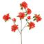 RHODODENDRON 100CM RED