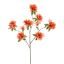RHODODENDRON 100CM SALMON