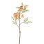 KOWHAI FLOWER 87CM PEACH