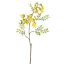 KOWHAI FLOWER 87CM YELLOW