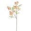 LARGE KOWHAI FLOWER 115CM PEACH