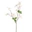 DOGWOOD 68CM CREAM PINK