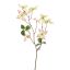 DOGWOOD 68CM PEACH
