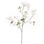 DOGWOOD 120CM CREAM PINK