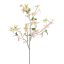 DOGWOOD 120CM PEACH
