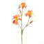 IRIS 82CM ORANGE