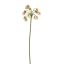SUMMER BELLS 70CM GREEN