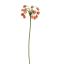 SUMMER BELLS 70CM SALMON