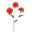 MONARDA FLOWER 67CM CORAL