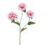 MONARDA FLOWER 67CM CREAM PINK