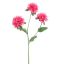 MONARDA FLOWER 67CM PINK