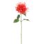 MONARDA FLOWER 75CM CORAL