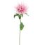 MONARDA FLOWER 75CM CREME PINK