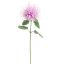 MONARDA FLOWER 75CM LAVENDER