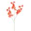 LARGE LATHYRUS 115CM CORAL