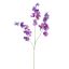LARGE LATHYRUS 115CM PURPLE