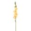 GLADIOLUS 85CM YELLOW