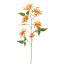 LONICERA 91CM ORANGE