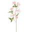 LONICERA 91CM PINK