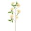 LONICERA 91CM YELLOW