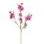 CORNFLOWER 71CM LAVENDER