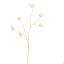 COLORED STEM HYDRANGEA 110CM CREAM