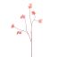 COLORED STEM HYDRANGEA 110CM PEACH