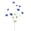 COLORED STEM POPPY 95CM BLUE