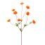 COLORED STEM POPPY 95CM ORANGE