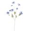 COLORED STEM EDELWEISS 91CM BLUE