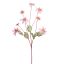 COLORED STEM EDELWEISS 91CM LILA
