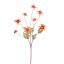 COLORED STEM EDELWEISS 91CM ORANGE