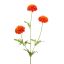 MARIGOLD 65CM FLAME
