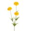 MARIGOLD 65CM YELLOW