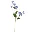 CAMPANULA 61CM BLUE