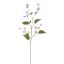 CAMPANULA SPRAY 99CM LILA