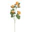 BEGONIA SPRAY 77CM PEACH