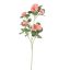 BEGONIA SPRAY 77CM PINK