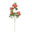 BEGONIA SPRAY 77CM SALMON