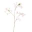STEPHANOTIS 97CM PINK