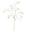 STEPHANOTIS SPRAY 153CM CREAM
