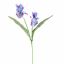 IRIS X2 60CM BLUE