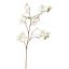DOGWOOD SPRAY 90CM CREAM