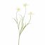 DAFFODIL SPRAY 70CM WHITE