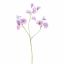 SWEET PEA 66CM LAVENDER