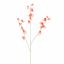 SWEET PEA 103CM CORAL