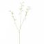 SWEET PEA 103CM CREAM