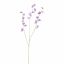 SWEET PEA 103CM LAVENDER